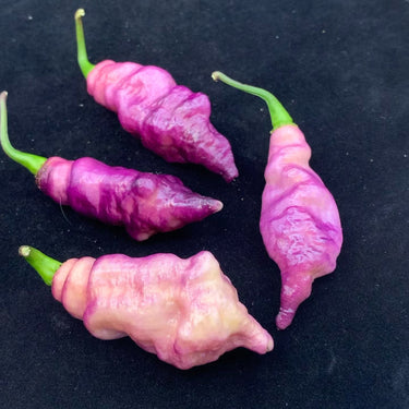 Pink Tiger - Seeds - The Pepper Pantry (Formerly Marie Sharp's)
